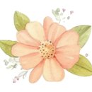 서가순두부 이미지