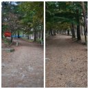팔봉중학교 | [충남100대산]서산팔봉산등산 코스 이야기