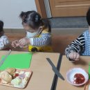 키즈로스쿨어린이집 이미지