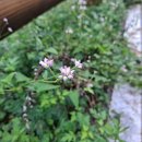 향로산자연휴양림 이미지