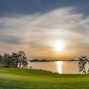 파인비치 이미지