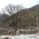 우산리입구 이미지