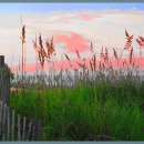 이영춘「들풀」 이미지