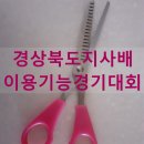 투배로스포츠