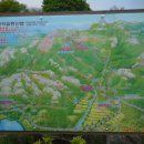 황매산 철쭉제 이미지