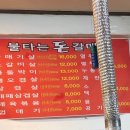 불타는돈갈매기 이미지