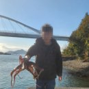 풀빌라 아드리아 이미지