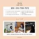 진남초교병설유치원 | [통영 샌드아트 체험] 경남 거제 통영 진남 초등학교 샌드아트 공연&amp;체험