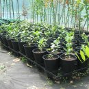 용기농장 이미지