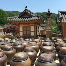 장독