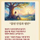 평안 Daum카페