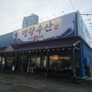 동탄횟집 추천, 야장 분위기 좋은 명량수산포차 물회 후기