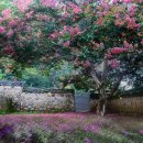 문득그리움 이미지