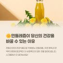 광교산이주는밥상만들기 | 민들레즙 효능 부작용 영양성분 만들기 궁합 음식 요리 먹는법 총정리