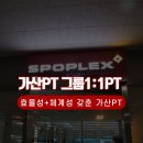스포플렉스(가산점) 네이버블로그