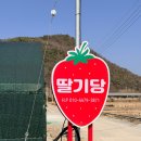흥안농장 네이버블로그
