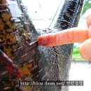 덕지농장 이미지