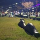 춤추는 바다분수 이미지