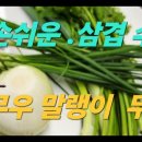 간편하게 만드는 삼겹수육 무우 말랭이 무침 이미지