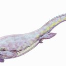 글로비다 이미지