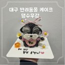 댕수무강 | 말티푸 깍지의 1살 생일파티! 대구 댕수무강 커스텀 케이크 후기