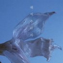 왈왈이 - 원주시 | 왈왈이