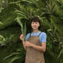 비비아르플랜트