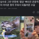 애니메이커 이미지