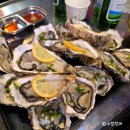 대구능금시장 | 대구 칠성시장 포차 소라깡 생굴 맛집 포차거리 해산물 야장 술집