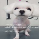 이개 내고양이 이미지