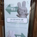 경주 휴에이 | 미피스토어 경주 주말 오픈런 후기 | 찰보리스 파우치 구매 웨이팅 , 미피스토어 별관