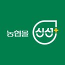 더신선플러스
