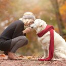 강아지는내친구 이미지