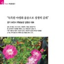 김영순농장 이미지