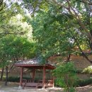 유림-1146 이미지