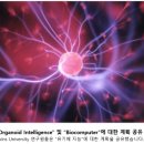 (주)자연인 Daum카페