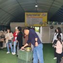 사회적협동조합 케어팜더욱 이미지