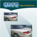 동순천덴트 이미지