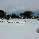 제주민박 이미지