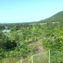 표선면-13 이미지