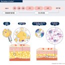 뉴타임의원 | 이중턱살 주사 후기 | 뉴비쥬 효과와 이벤트 가격 확인해 보세요🧐