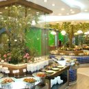 안산스타 이미지