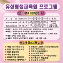 영재교육사 Daum카페