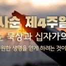 2024년 03월 13일 / † 사순 제 4 주간 수요일 이미지