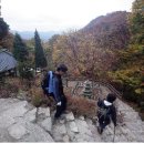 새봄! 가까운 곳 가평으로 여행 떠난다