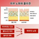 주식회사 위너스 이미지