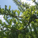 안말농장 이미지