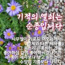 수양열쇠