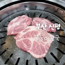 꿀꿀이왕국 | 부산 신평 맛집, 가성비 좋은 착한 생고깃집, 꿀꿀이왕국