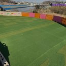 이평우 반려견 교육센터 이미지